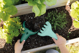 Raki Green | Quut