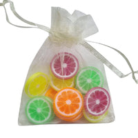 Zakje met 16 mini Citrus Schijfjes
