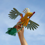 Tropical Birds Pack | Clixo