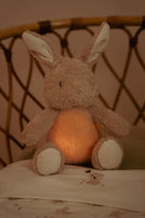 Knuffelkonijn Licht en Geluid Little bunny | Little Dutch