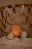 Knuffelkonijn Licht en Geluid Little bunny | Little Dutch