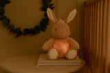 Knuffelkonijn Licht en Geluid Little bunny | Little Dutch
