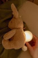 Knuffelkonijn Licht en Geluid Little bunny | Little Dutch