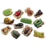 Sensory Play Stones Insecten | Yellow Door