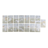 Tekentablet Groen Safari Friends | Little Dutch