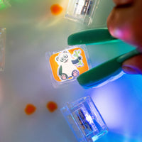 Zoo Light-Up Cubes 6-pack | Glo Pals