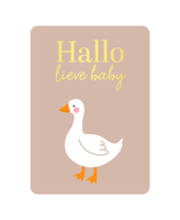Kaart Hallo Lieve Baby