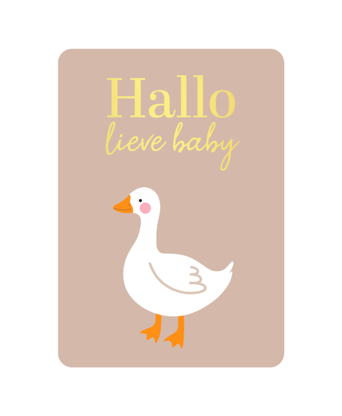 Kaart Hallo Lieve Baby