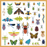 insecten stickers