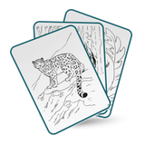 Kidydraw Pad - Dieren - Lichtgevende Tekentablet | Kidywolf