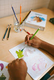 Kidydraw Kit Watercolour Pencil | Kidywolf