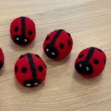 vilten lieveheersbeestjes
