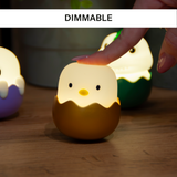 Eggy Mystery Lights