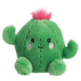 cactus knuffel