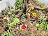 Sensory Play Stones Insecten | Yellow Door