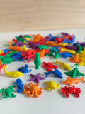zeedieren tellen en sorteren